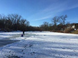 buckingham-pond-ice-rink-albany-ny