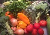 Community Sustained Agriculture: What’s In The Box?